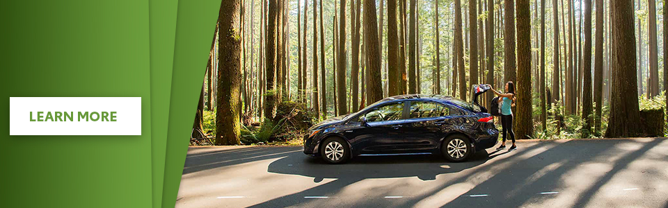 A blue 2022 Corolla in the forest